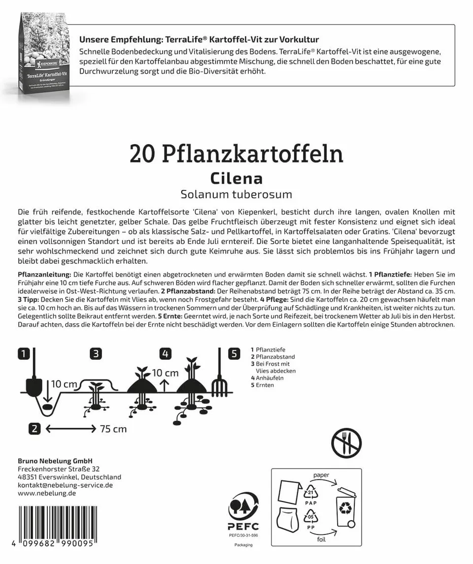 kiepenkerl-pflanzkartoffel-cilena-mittelfr-h-lagerf-hig image 1