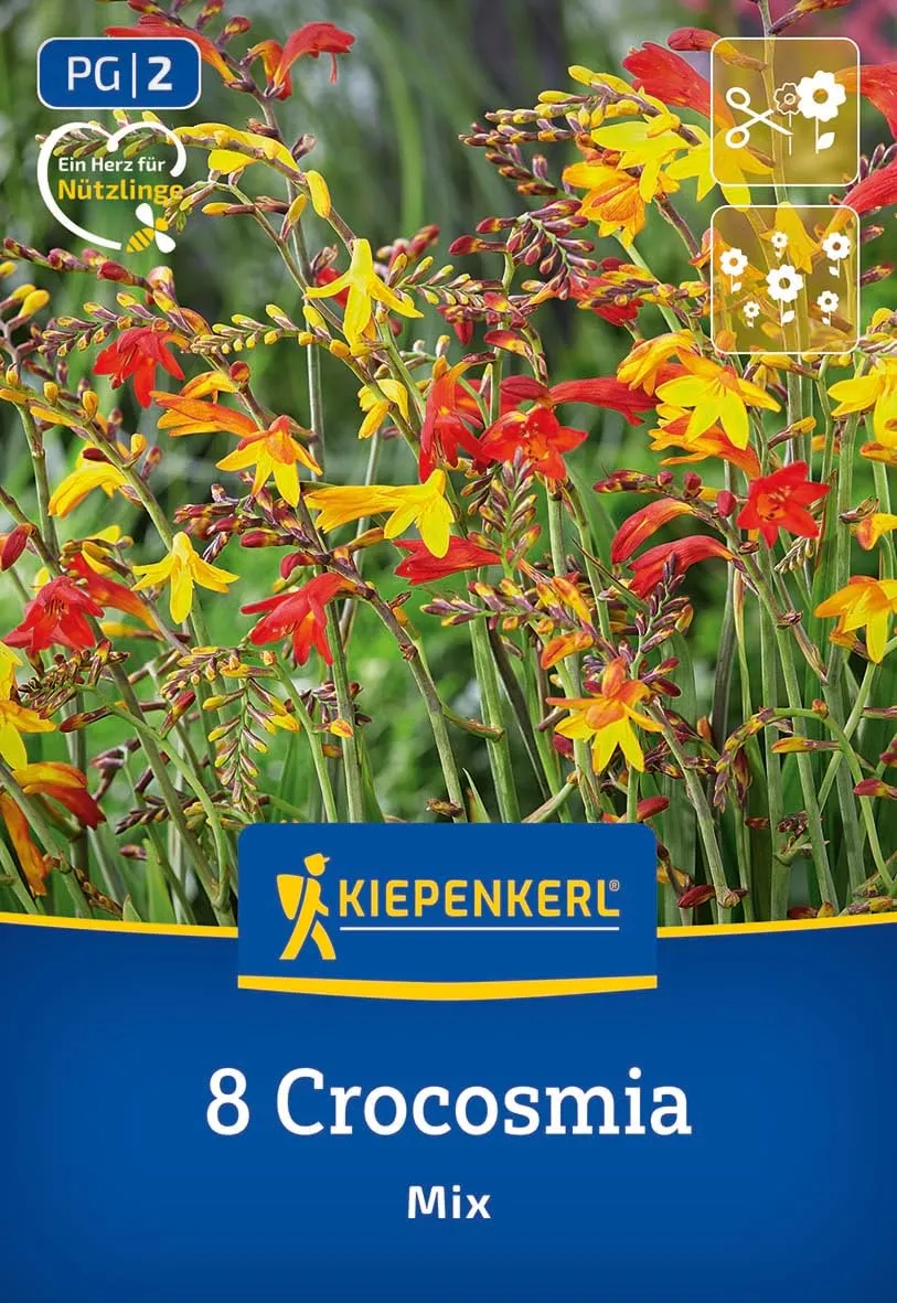 kiepenkerl-crocosmia-kleinblumige-mischung-3675010-blumenzwiebeln image 1