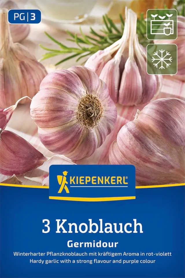 kiepenkerl-winterknoblauch-germidour-steckzwiebeln image 1