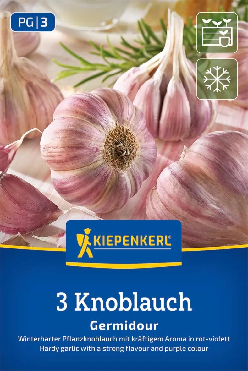 kiepenkerl-winterknoblauch-germidour-steckzwiebeln image 1