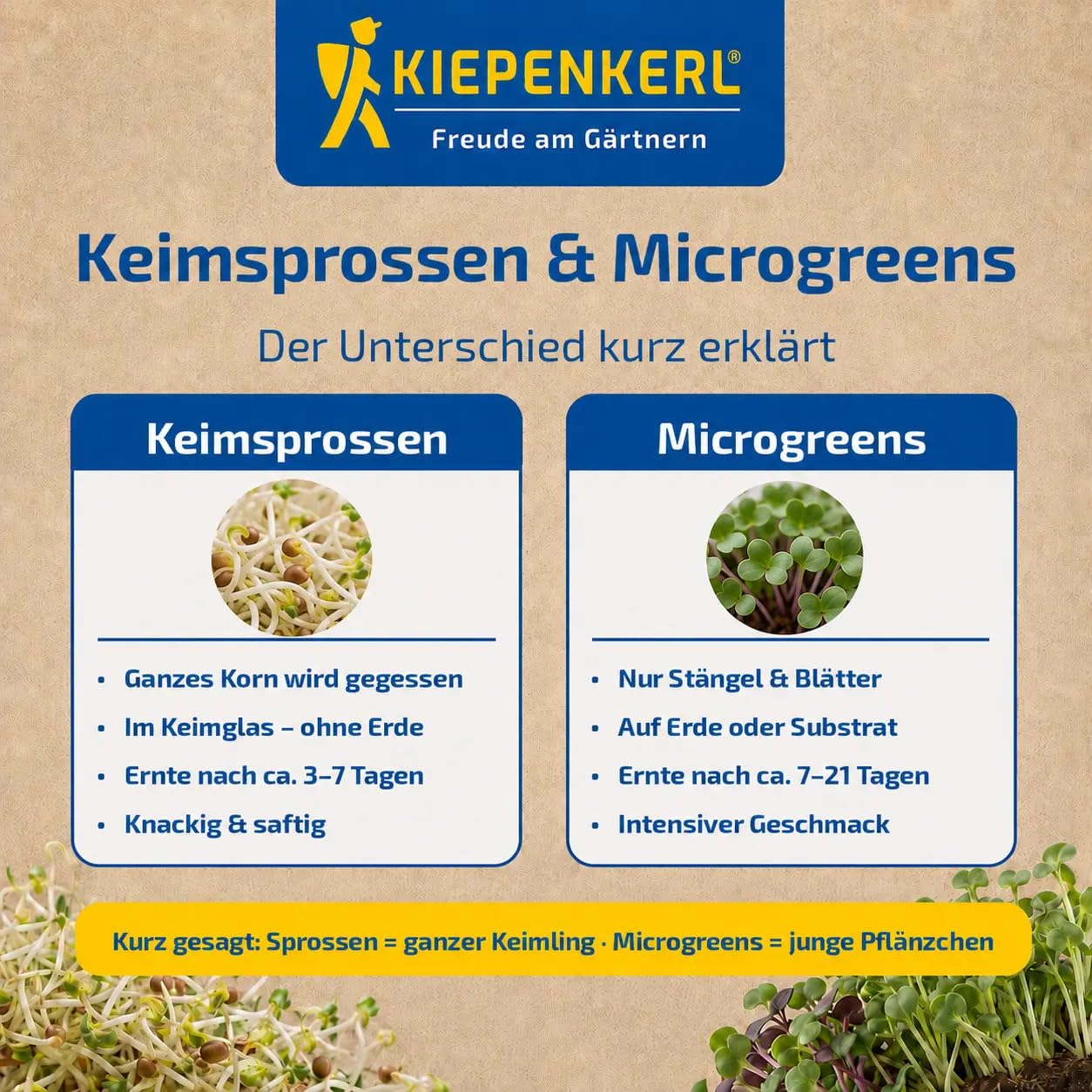 kiepenkerl-bio-microgreen-garden-anzuchtset image 5