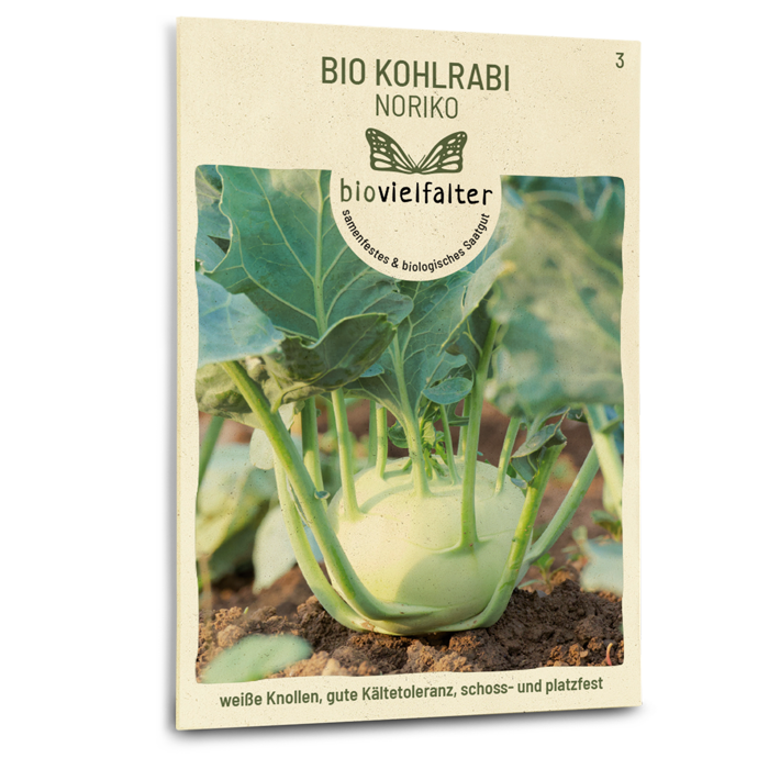 samen-maier-bio-kohlrabi-noriko-saatgut-fr-he-sorte image 1