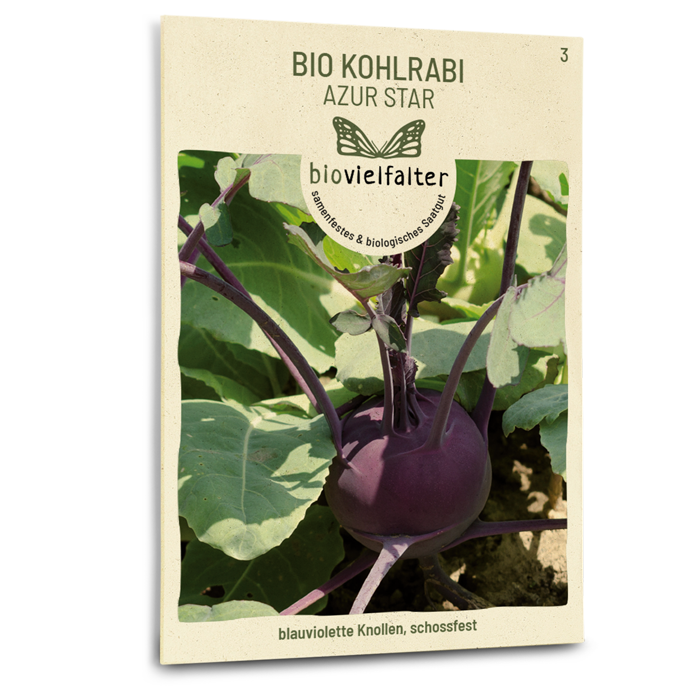 samen-maier-bio-kohlrabi-azur-star-violettes-gem-sesaatgut image 1