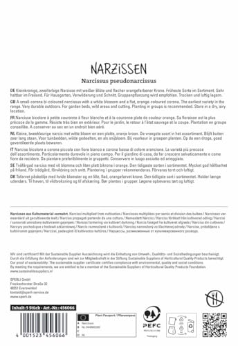 sperli-kleinkronige-narzisse-barrett-browning-wei-orange-m-rz-bl-te image 8