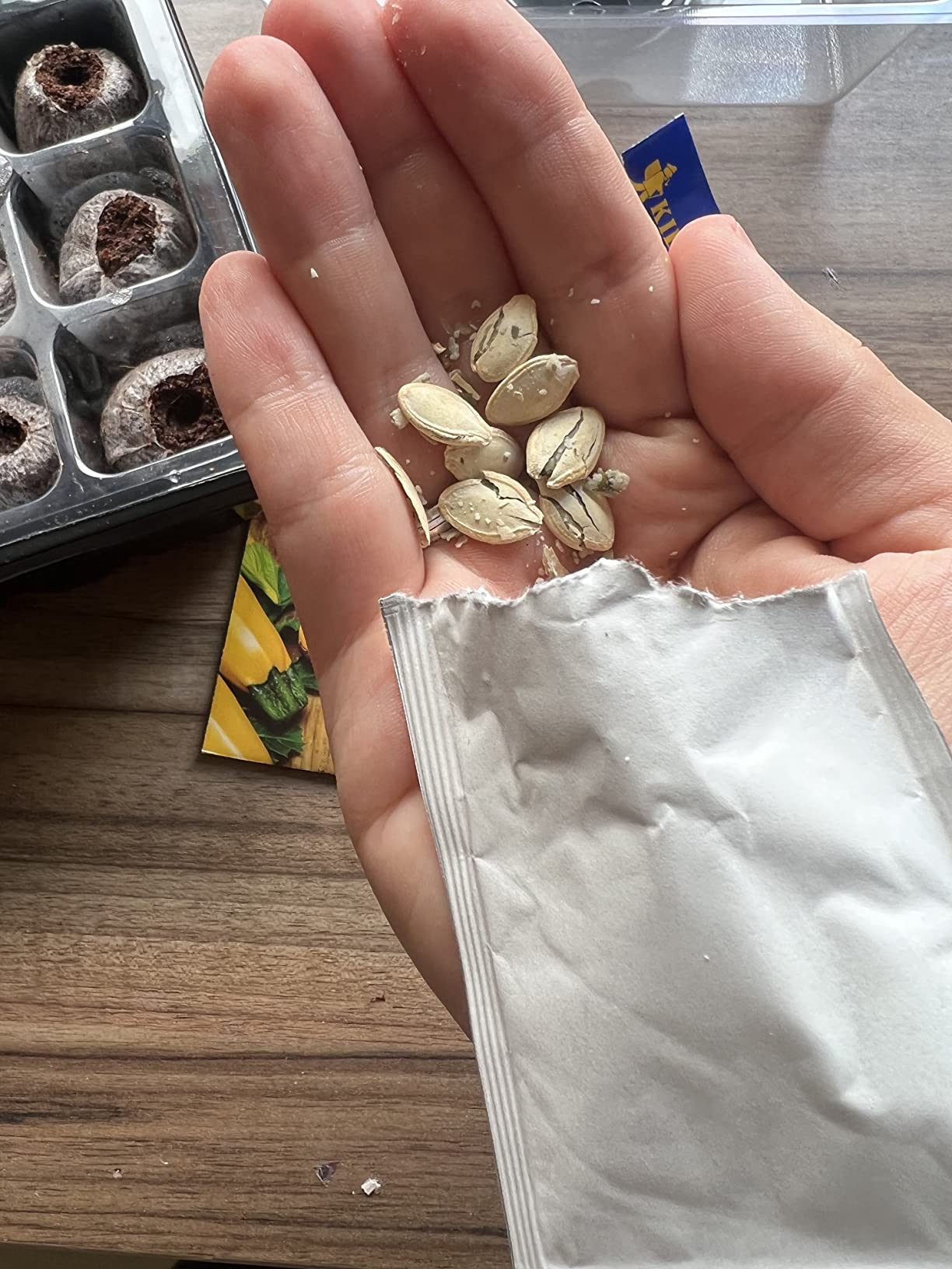 Viele Blüten, wenig Früchte bei mir