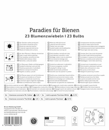kiepenkerl-blumenzwiebelmischung-paradies-f-r-bienen-30-60-cm-sommerbl-her-mix image 8