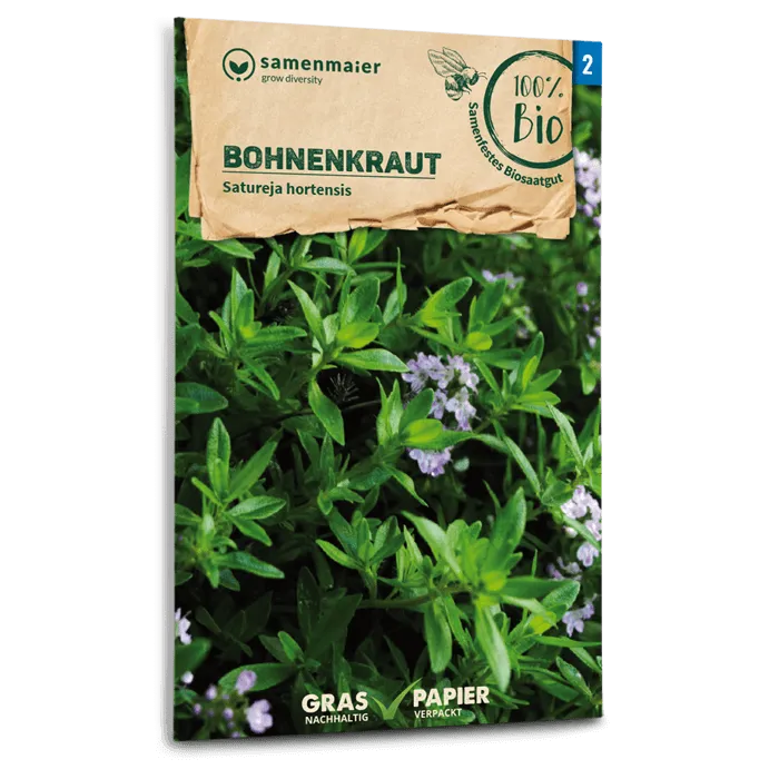samen-maier-bio-bohnenkraut-kr-utersamen-w-rzig-pfeffrig image 1