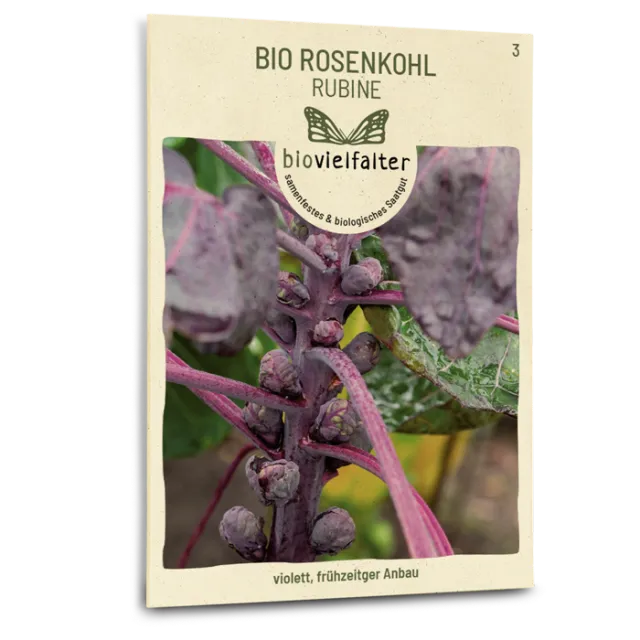 samen-maier-bio-rosenkohl-rubine-wintergem-se-saatgut image 1