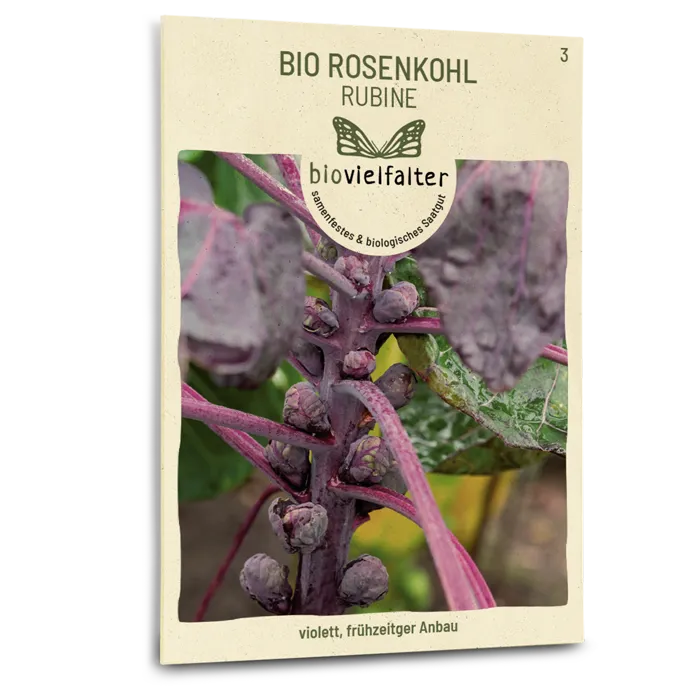 samen-maier-bio-rosenkohl-rubine-wintergem-se-saatgut image 1