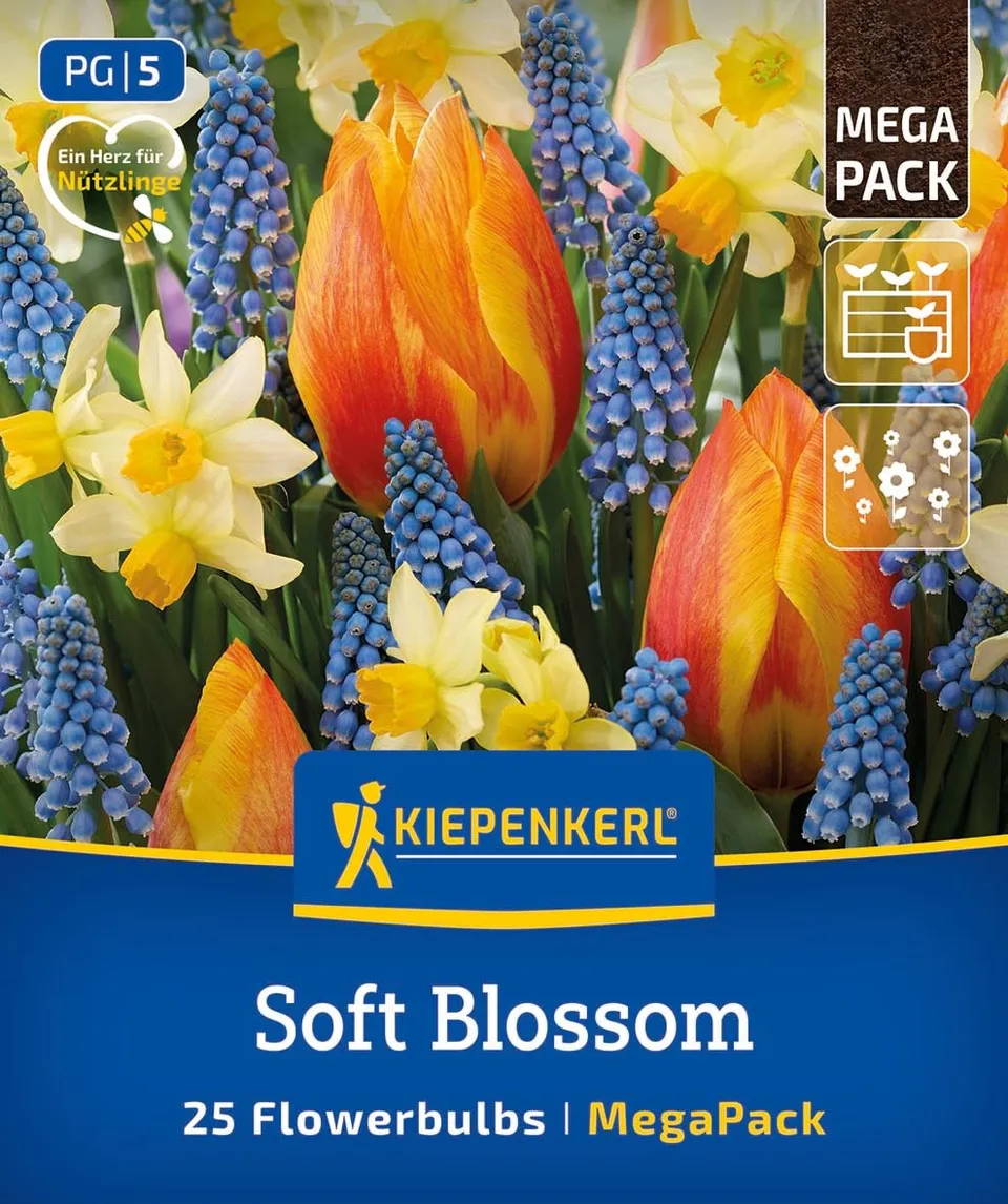 kiepenkerl-mega-pack-soft-blossom-mix-2875041-blumenzwiebelmischung image 1