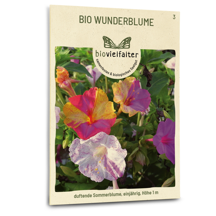 samen-maier-bio-wunderblume-blumensamen-60-100-cm image 1