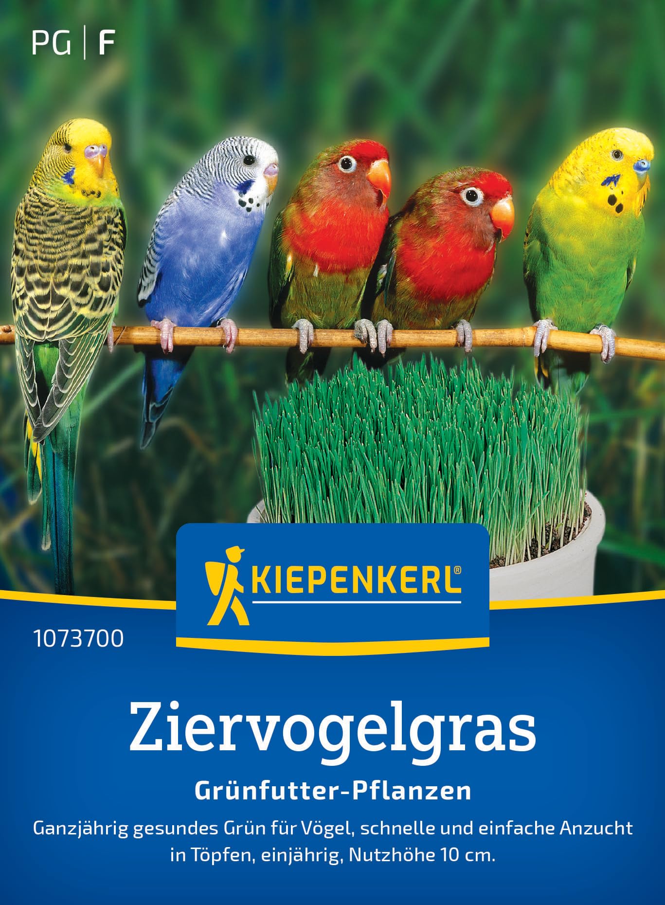 kiepenkerl-ziervogelgrassamen-frischgr-n-mischung-1073700-saatgut image 1