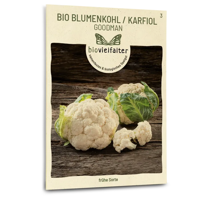 samen-maier-bio-blumenkohl-karfiol-goodman-samen image 1