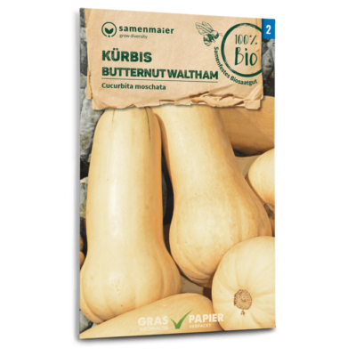 samen-maier-bio-k-rbis-butternut-waltham-gem-sesamen image 3