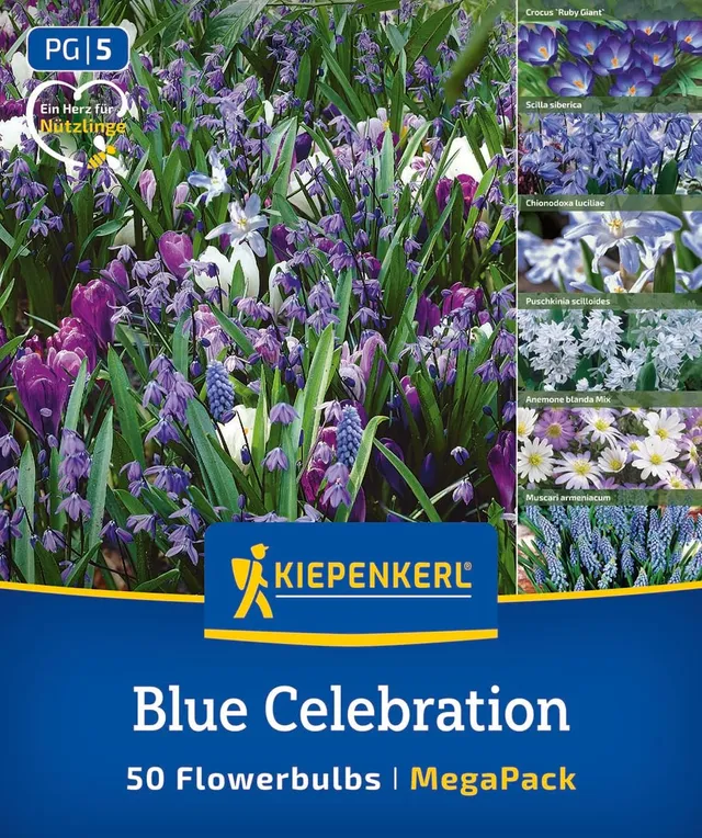kiepenkerl-mega-pack-blue-celebration-mix-blumenzwiebelmischung-blau-10-25-cm image 1
