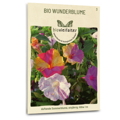samen-maier-bio-wunderblume-blumensamen-60-100-cm image 3