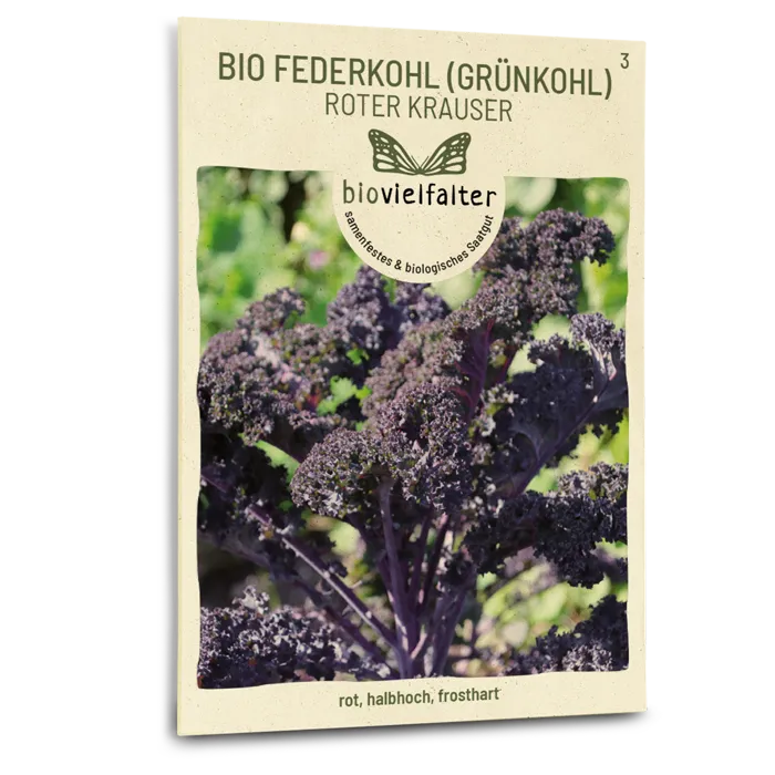 samen-maier-bio-federkohl-roter-krauser-gr-nkohl-samen image 1