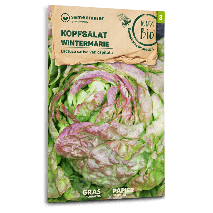samen-maier-beet-box-f-r-die-herbsternte-bio-gem-se-saatgut-set-mit-5-sorten image 4