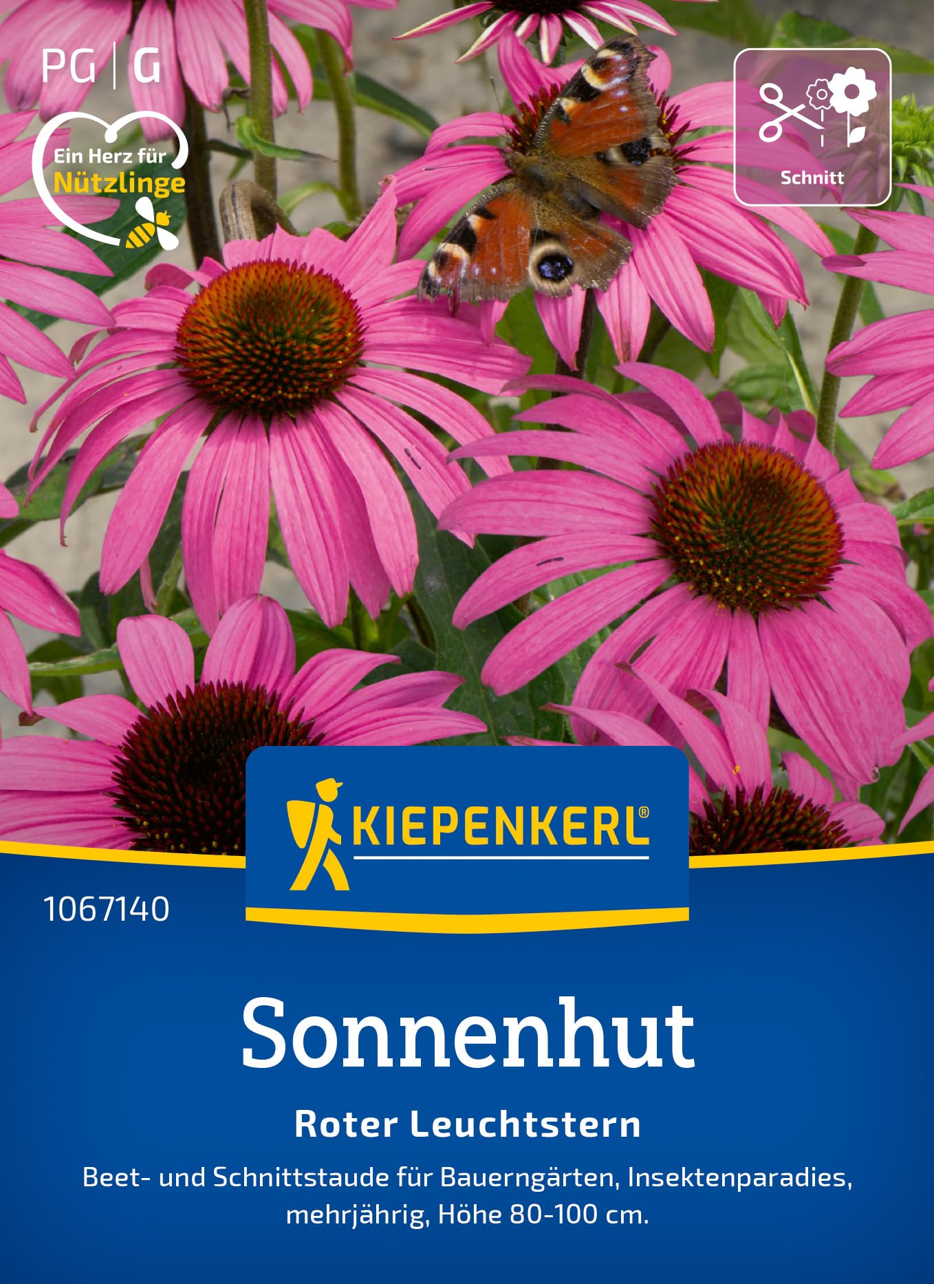 kiepenkerl-zinniensamen-profusion-mischung-blumensaat image 7