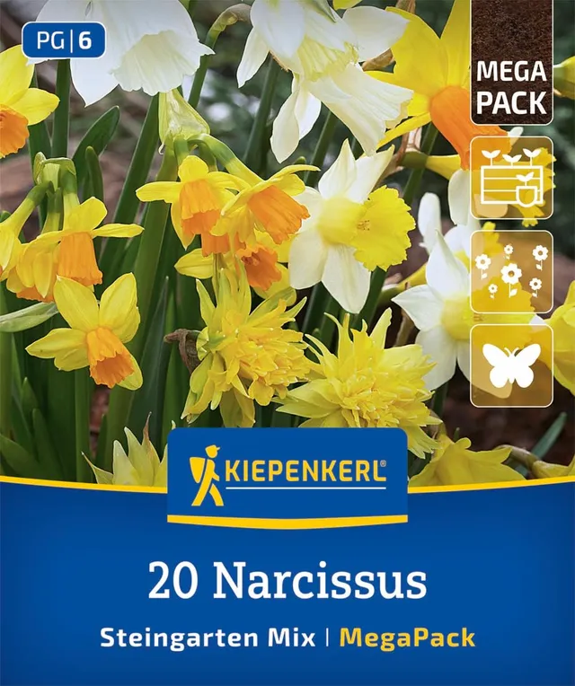 kiepenkerl-steingarten-narzissen-mischung-mega-pack-blumenzwiebeln-25-cm-winterh image 1