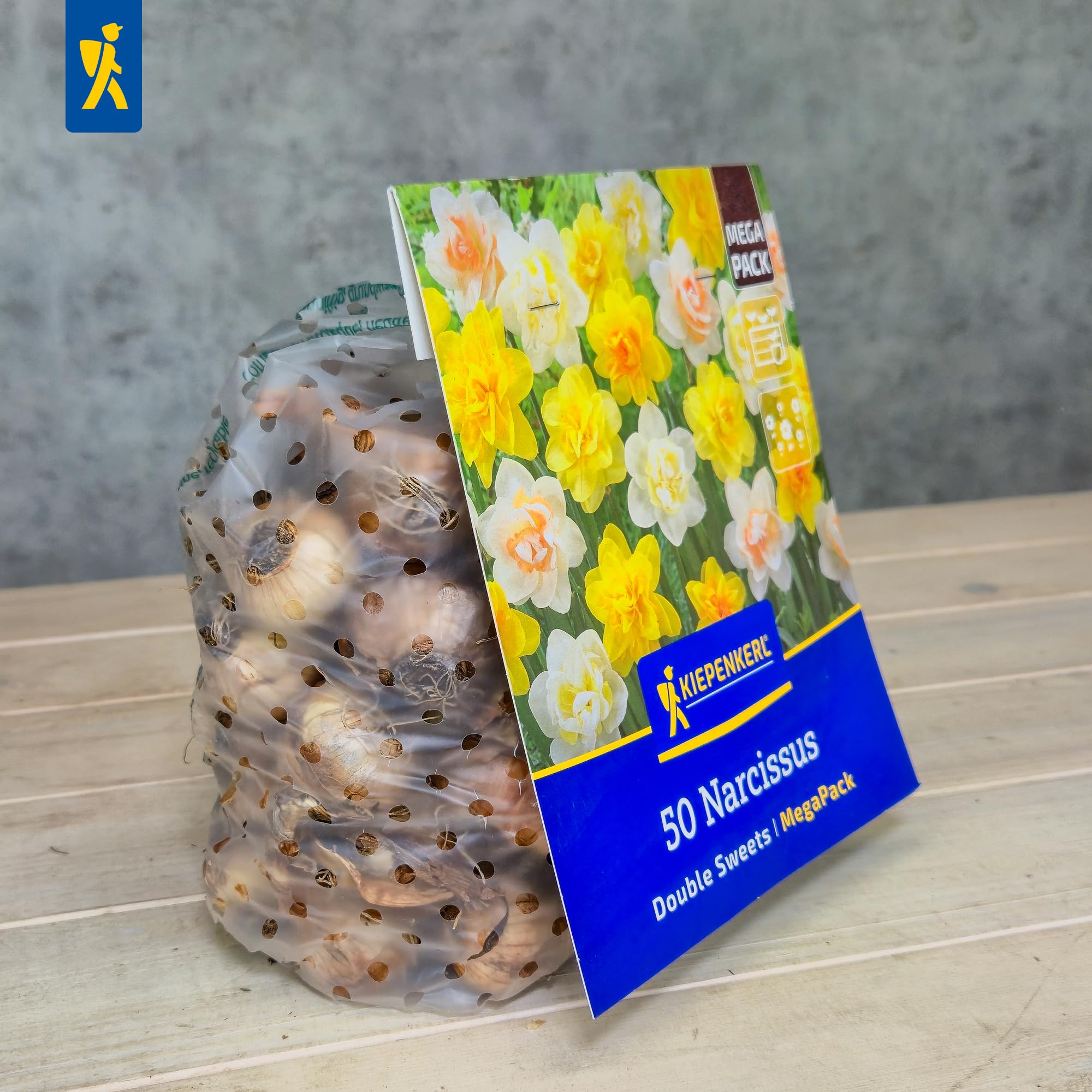 kiepenkerl-narzissen-double-sweets-mega-pack-blumenzwiebeln-gef-llt-f-r-50-pflan image 3