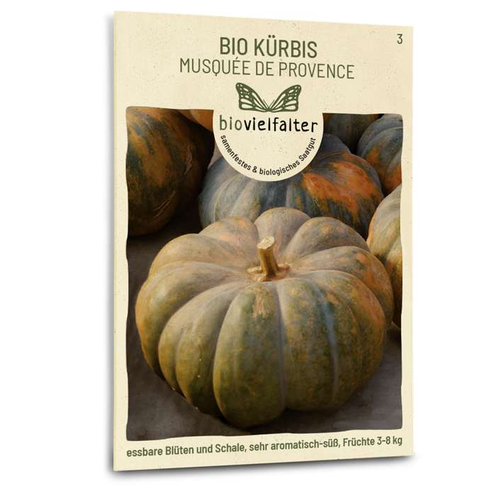 samen-maier-bio-k-rbis-musqu-e-de-provence-k-rbissamen image 1