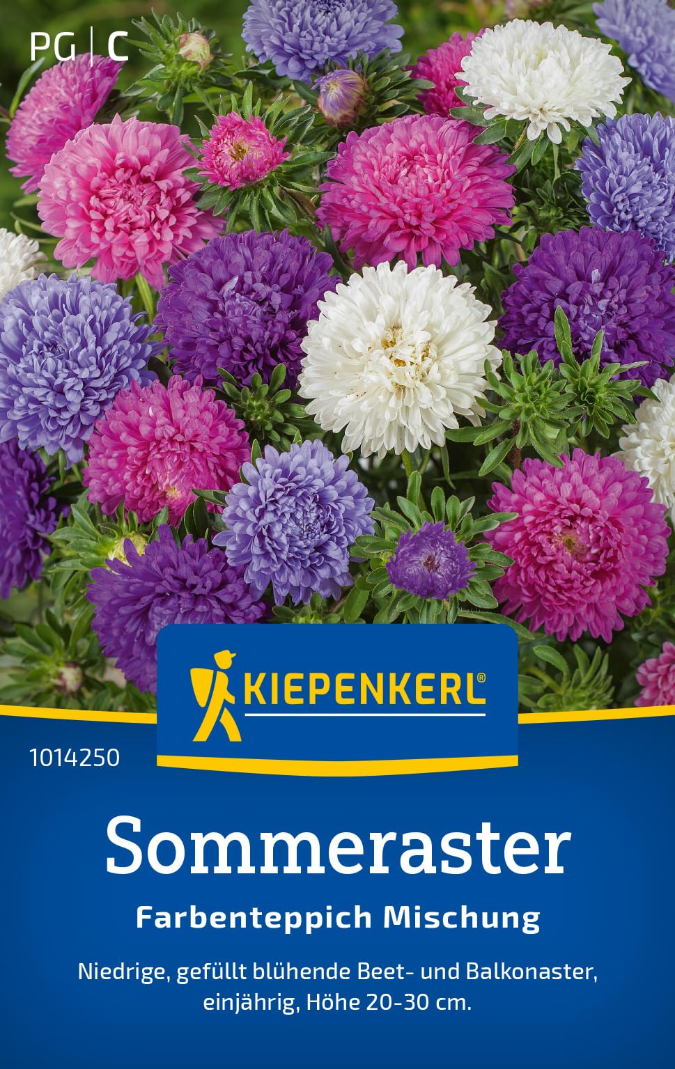kiepenkerl-strandfliedersamen-statice-mischung-1017900-einj-hrige-blumensamen-f- image 6