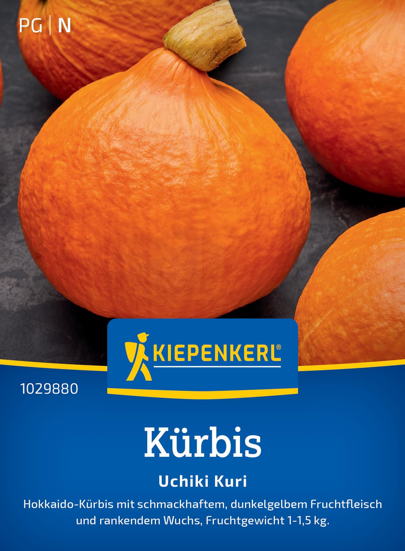 kiepenkerl-uchiki-kuri-k-rbis-hokkaido-gem-sesamen image 1