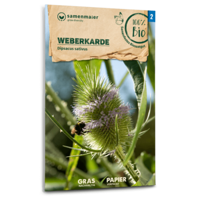 samen-maier-bio-weberkarde-saatgut-zweij-hrige-staude image 3