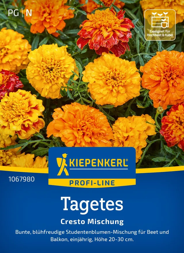 kiepenkerl-tagetessamen-cresto-mischung-1067980-blumensaat image 1