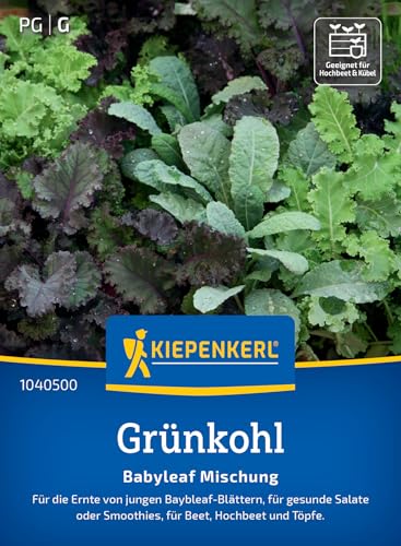 kiepenkerl-gr-nkohlsamen-babyleaf-mischung-1040500-gem-sesaat image 7
