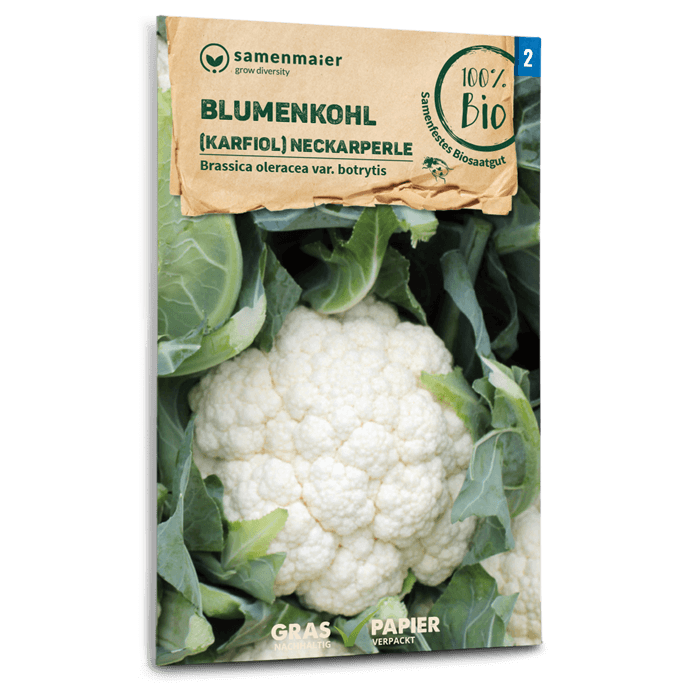 samen-maier-beet-box-f-r-den-babybrei-gem-se-saatgutset-5-sorten image 6