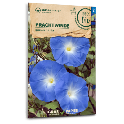 samen-maier-bio-prachtwinde-kletterpflanzen-saatgut image 3