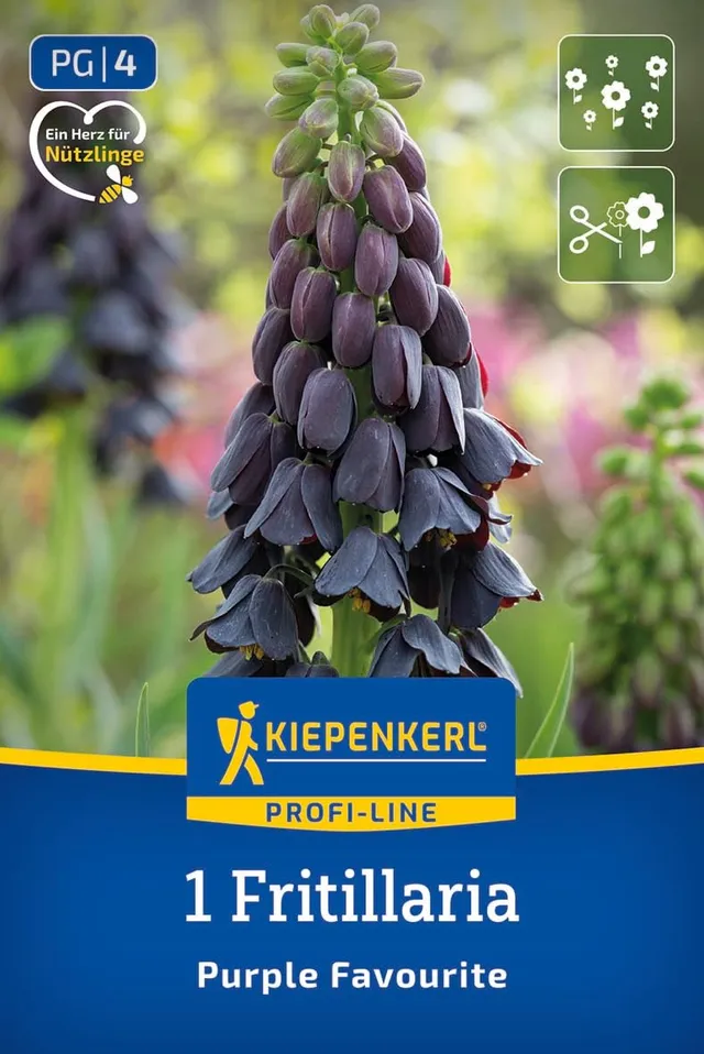 kiepenkerl-profi-line-persische-kaiserkrone-purple-favourite-fritillaria-80-100- image 1