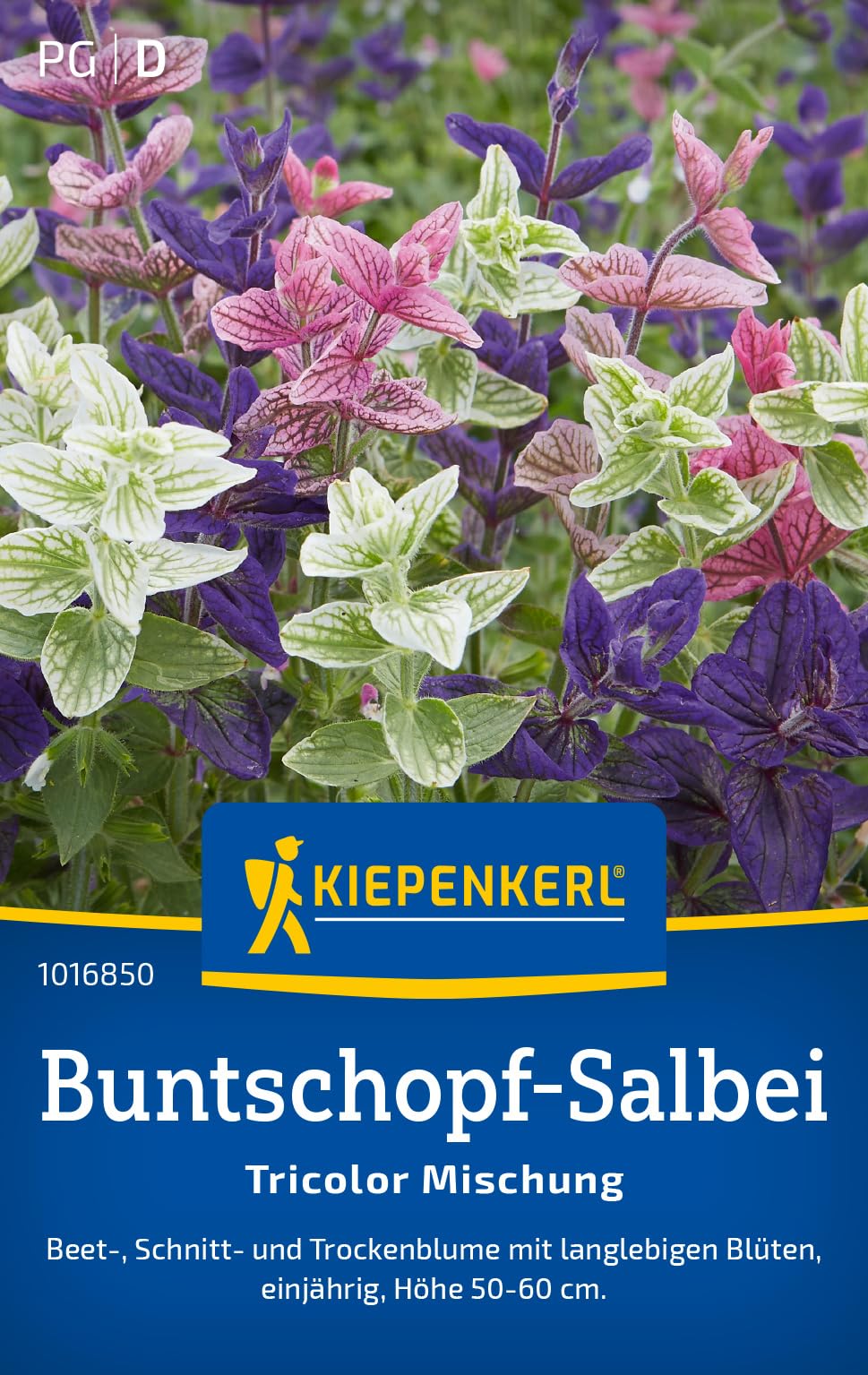 kiepenkerl-russel-lupinen-mischung-blumensamen-f-r-20-pflanzen image 6