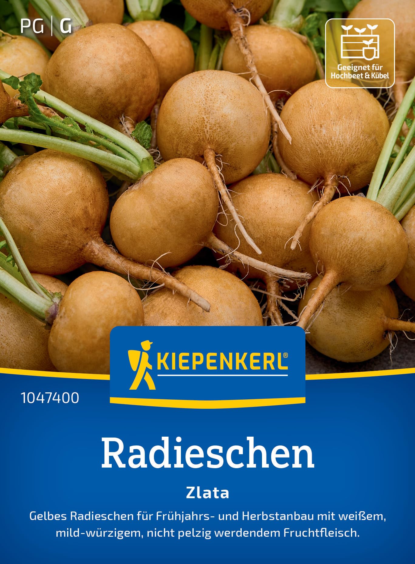kiepenkerl-rettich-runder-wei-er-gem-sesaat image 7