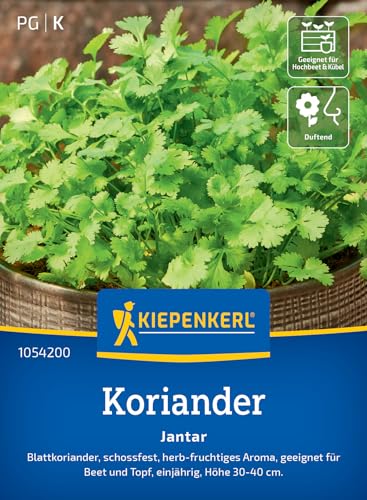 kiepenkerl-koriander-jantar-1054200-kr-utersamen image 7
