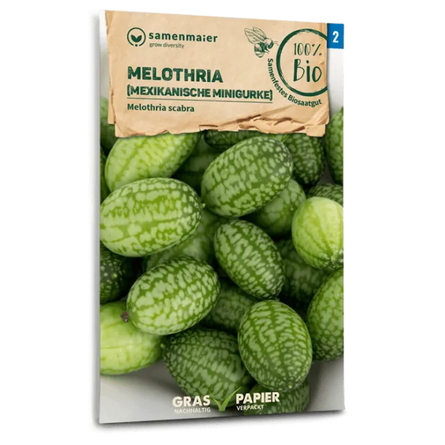 samen-maier-bio-melothria-mexikanische-minigurke-samen image 1