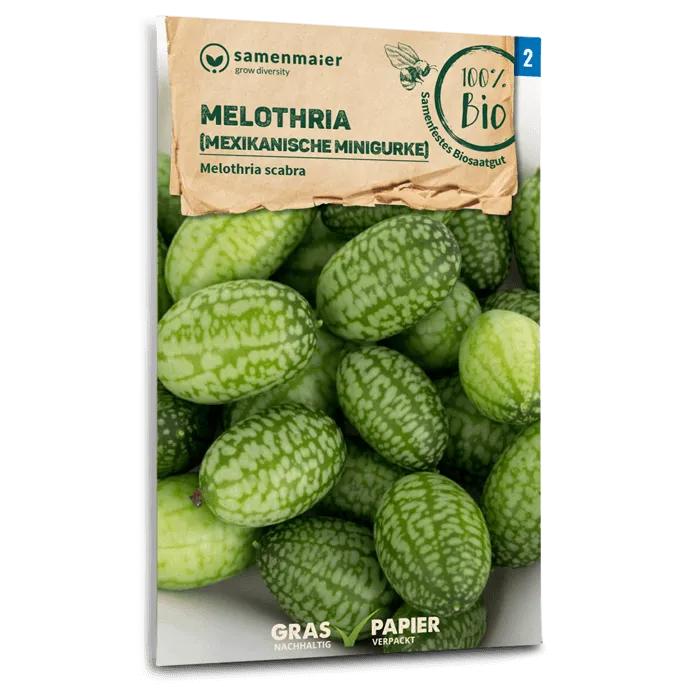 samen-maier-bio-melothria-mexikanische-minigurke-samen image 1