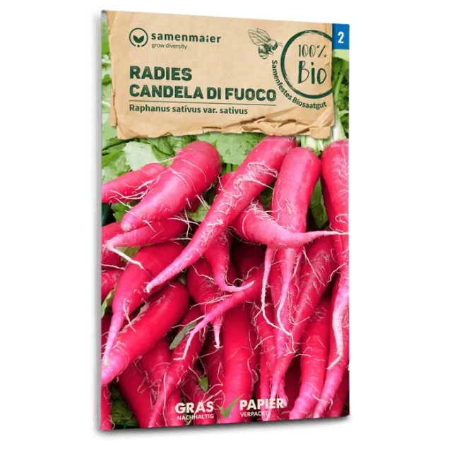 samen-maier-bio-radies-candela-di-fuoco-radieschensamen image 1