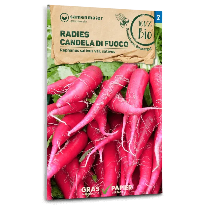 samen-maier-bio-radies-candela-di-fuoco-radieschensamen image 1