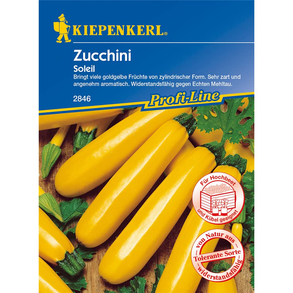 kiepenkerl-zucchini-soleil-f1-goldgelb-aromatische-gem-sesamen image 1