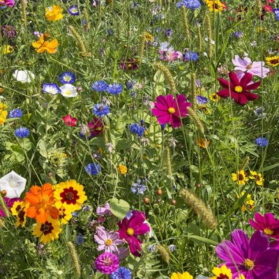 samen-maier-gru-karte-happy-mother-s-day-mit-blumensamen image 6