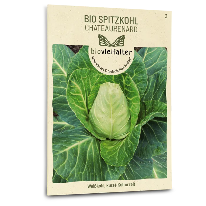 samen-maier-bio-spitzkohl-chateaurenard-samen image 1