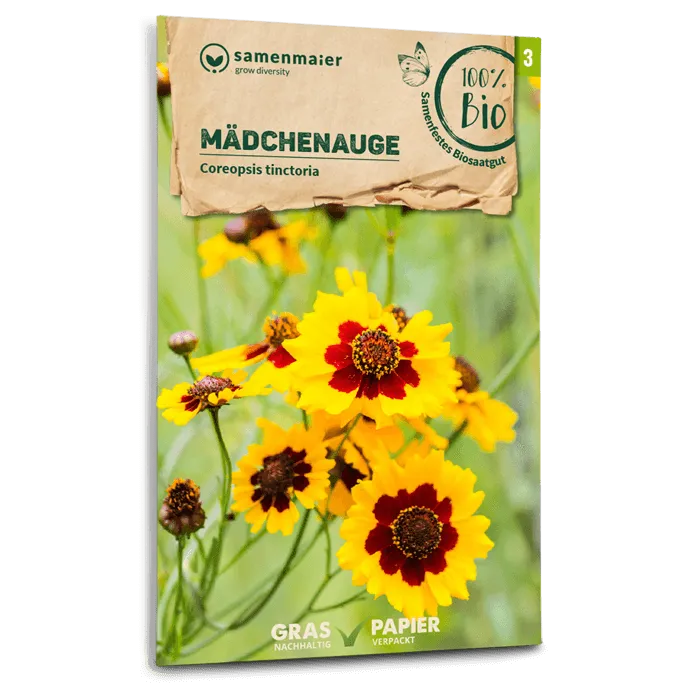 samen-maier-bio-m-dchenauge-saatgut-50-70-cm image 1