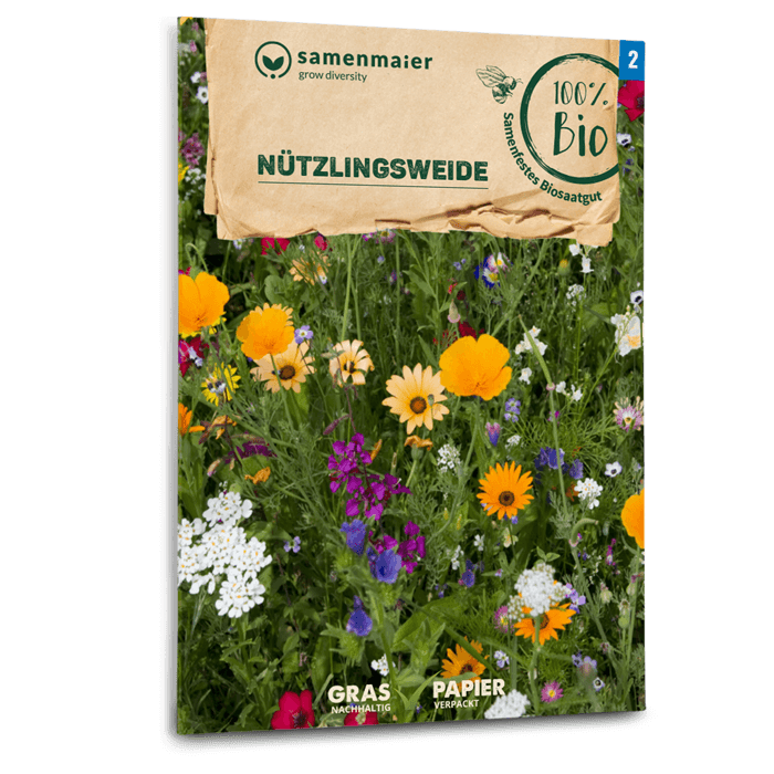 samen-maier-bio-n-tzlingsweide-wildblumenmischung-saatgut image 1