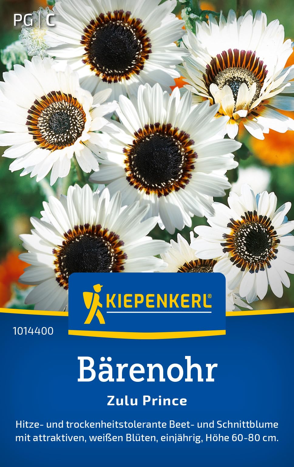 kiepenkerl-flammenblumensamen-sommer-phlox-mischung-1014700-blumensaat image 6