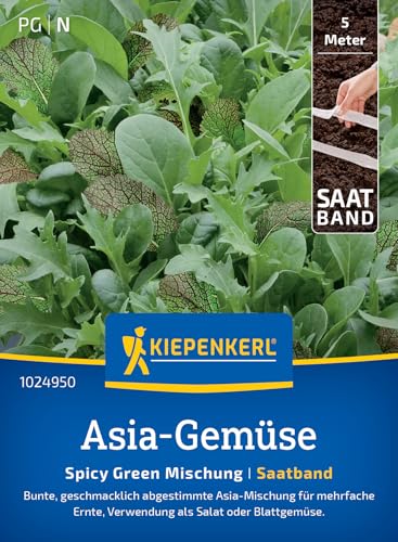 kiepenkerl-asia-salatsamen-spicy-green-mischung-1024950-gem-sesaat-im-saatband image 7