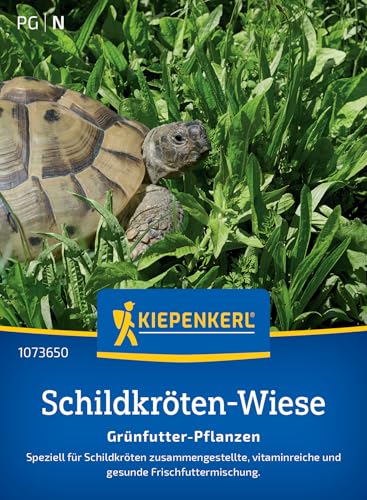 kiepenkerl-schildkr-ten-gr-nfutter-mischung-profi-line-samen image 7