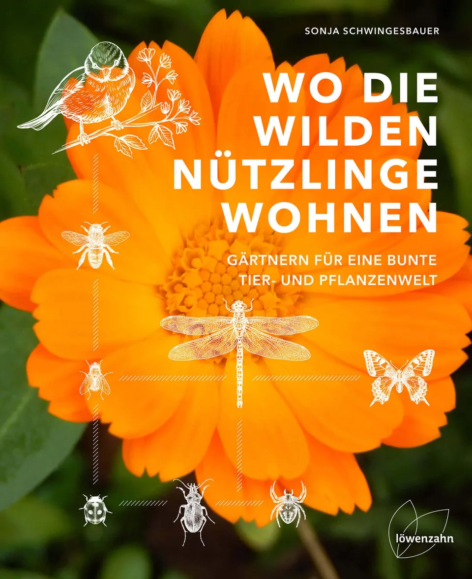 samen-maier-wo-die-wilden-n-tzlinge-wohnen-saatgut-set image 1